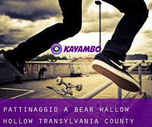 pattinaggio a Bear Wallow Hollow (Transylvania County, Carolina del Nord)