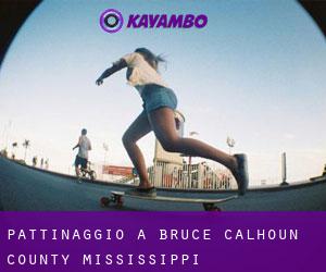 pattinaggio a Bruce (Calhoun County, Mississippi)