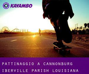 pattinaggio a Cannonburg (Iberville Parish, Louisiana)