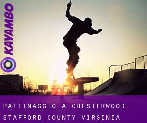 pattinaggio a Chesterwood (Stafford County, Virginia)