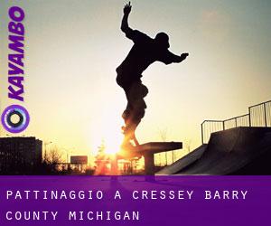 pattinaggio a Cressey (Barry County, Michigan)