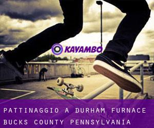 pattinaggio a Durham Furnace (Bucks County, Pennsylvania)