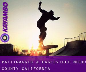 pattinaggio a Eagleville (Modoc County, California)