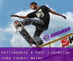 pattinaggio a East Limington (York County, Maine)