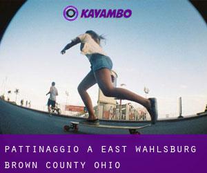pattinaggio a East Wahlsburg (Brown County, Ohio)