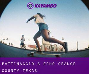 pattinaggio a Echo (Orange County, Texas)