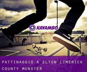pattinaggio a Elton (Limerick County, Munster)