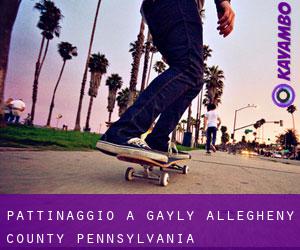 pattinaggio a Gayly (Allegheny County, Pennsylvania)