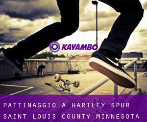 pattinaggio a Hartley Spur (Saint Louis County, Minnesota)