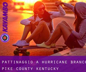 pattinaggio a Hurricane Branch (Pike County, Kentucky)