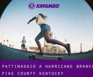 pattinaggio a Hurricane Branch (Pike County, Kentucky)