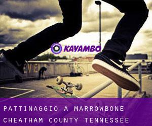 pattinaggio a Marrowbone (Cheatham County, Tennessee)