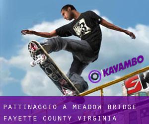 pattinaggio a Meadow Bridge (Fayette County, Virginia Occidentale)