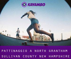 pattinaggio a North Grantham (Sullivan County, New Hampshire)