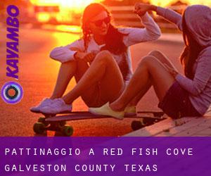 pattinaggio a Red Fish Cove (Galveston County, Texas)