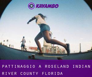 pattinaggio a Roseland (Indian River County, Florida)