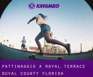 pattinaggio a Royal Terrace (Duval County, Florida)