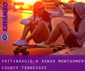 pattinaggio a Sango (Montgomery County, Tennessee)